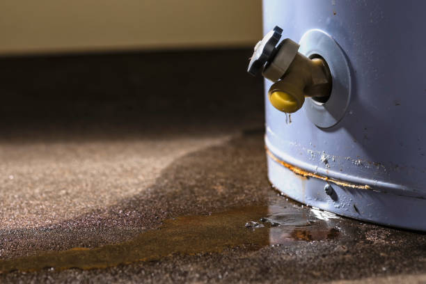 Odor Removal and Sanitization After Water Damage